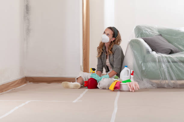 Reliable Mold Removal contractor in Grantville, GA by WQB Mold Removal